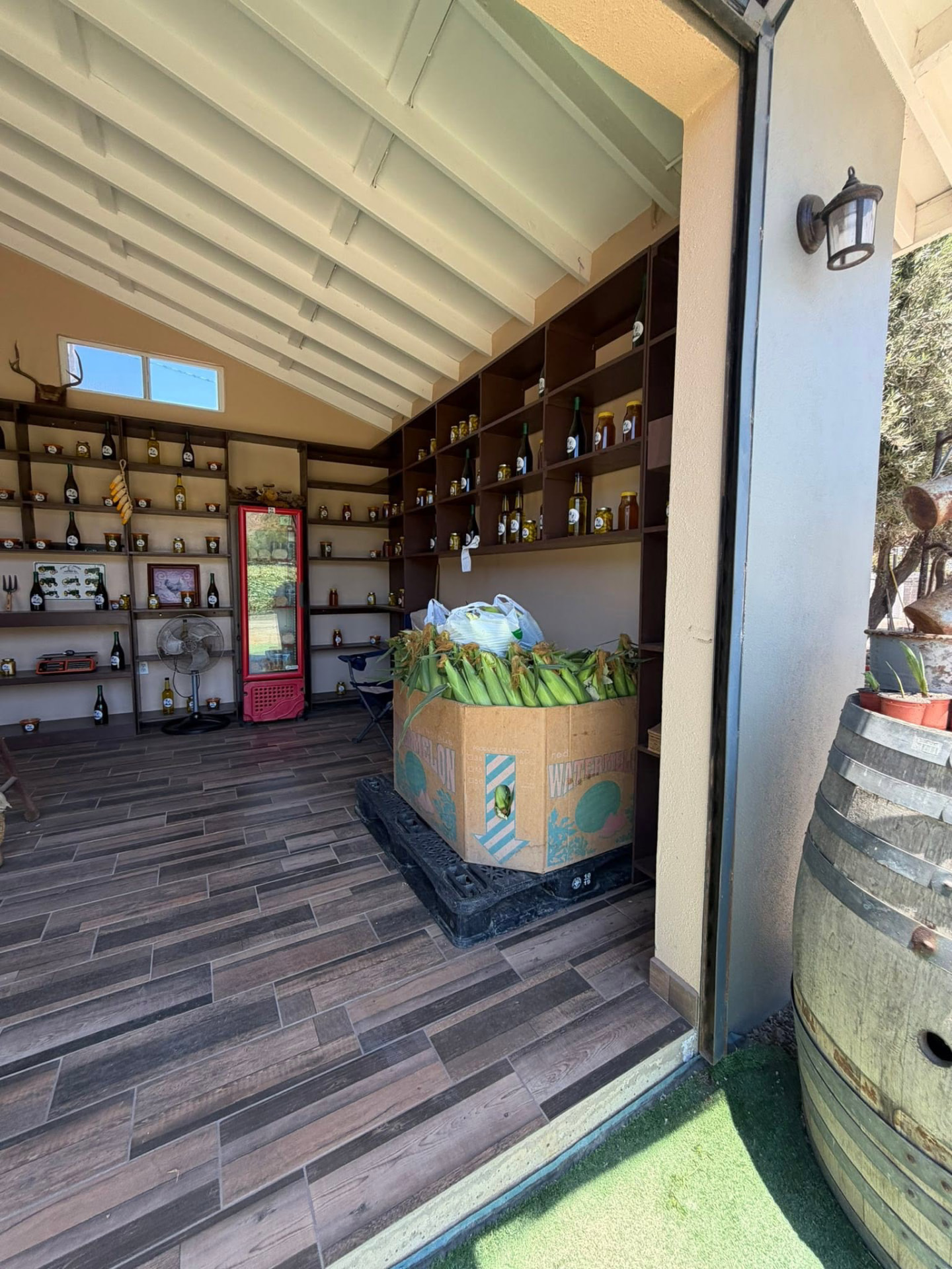 Interior de la tienda con caja de elotes recién cosechados
